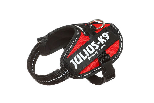 JULIUS-K9 ®IDC®-Power koiravaljas,punainen ja tekstitarrat haluamallasi tekstillä