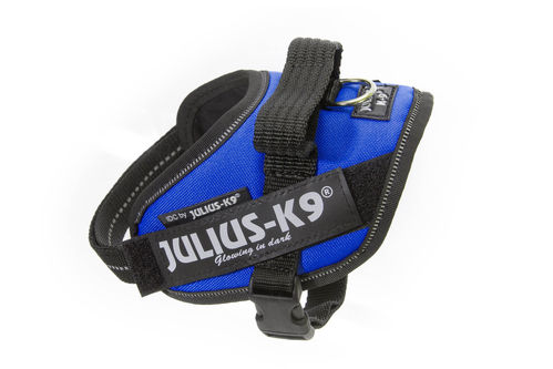 JULIUS-K9 ®IDC®-Power koiranvaljas, sininen ja tekstitarrat haluamallasi tekstillä