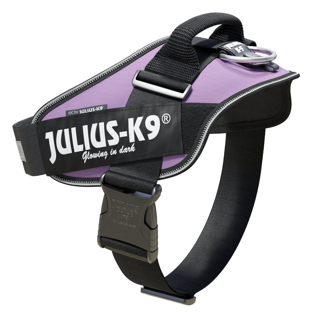 JULIUS-K9 ®IDC®-Power koiravaljas, Lila ja tekstitarrat haluamallasi tekstillä