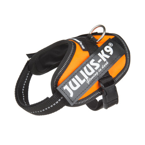 JULIUS-K9 ®IDC®-Power koiranvaljas,UV oranssi ja tekstitarrat haluamallasi tekstillä