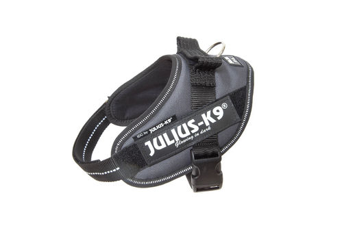 JULIUS-K9 ®IDC®-Powervaljas, koiralle Tumman harmaa ja tekstitarrat haluamallasi tekstillä