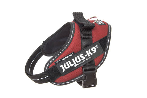 JULIUS-K9 ®IDC®-Power koiravaljas, Tummanpunainen ja tekstitarrat haluamallasi tekstillä
