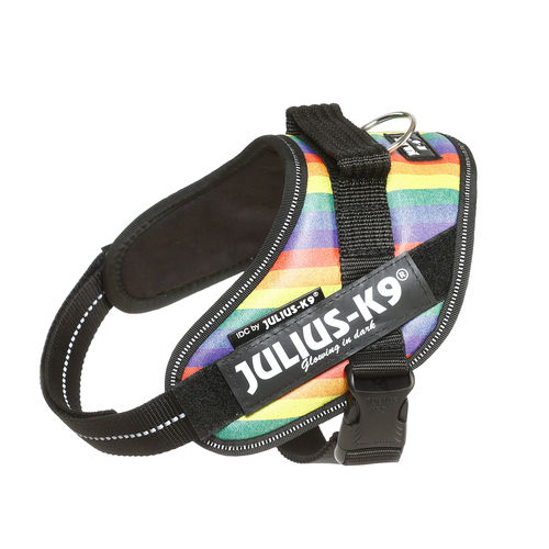 JULIUS-K9 ®IDC®-Power koiravaljas, rainbow ja tekstitarrat haluamallasi tekstillä