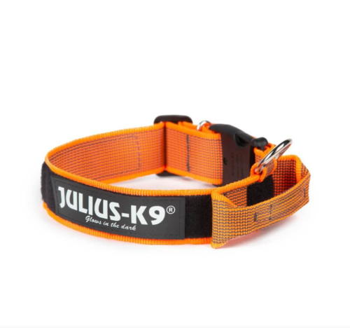 Julius-K9 collar w safety lock and handle