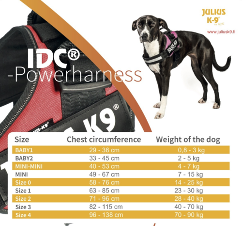 Julius-K9 IDC Power koiravaljas Mocca ja tekstitarrat haluamallasi tekstillä