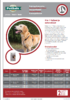 PetSafe® 3 in 1™ Valjaat koiralle L