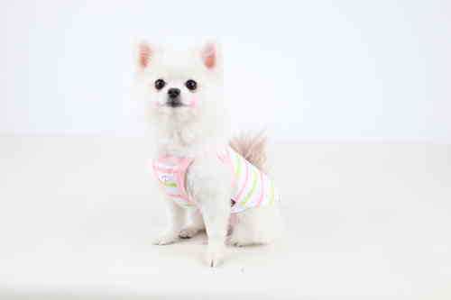 Puppia Dog T-shirt pink