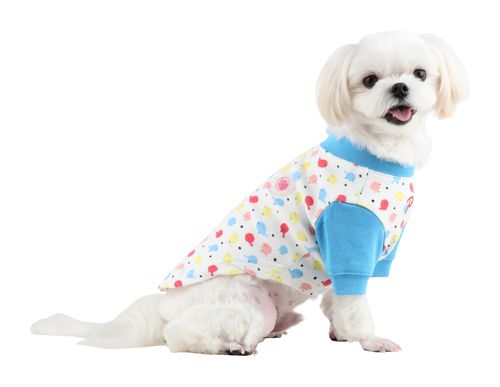 Puppia koiran T paita pikkulinnut sininen S