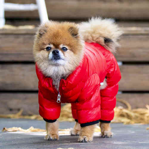 Puppia ultralight jumpsuit  for dog red