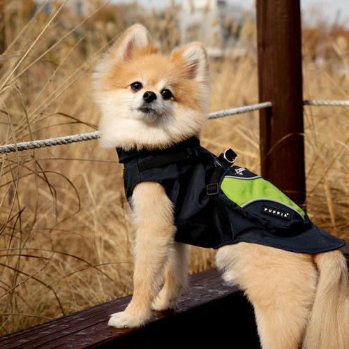 Puppia Teton koiran lämmin takki ja valjas yhdessä