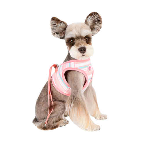 Pinkaholic Cara Q -model vest dogharness with easy fir string attachment