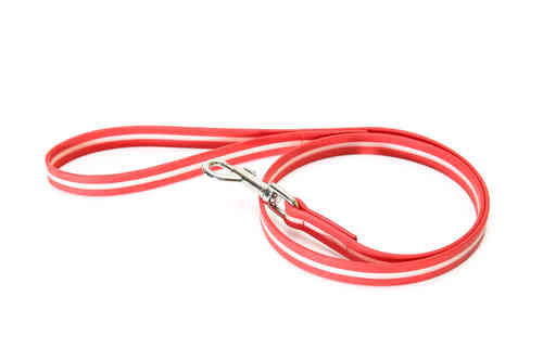 Julius K9 Lumino leash red 2m with handle