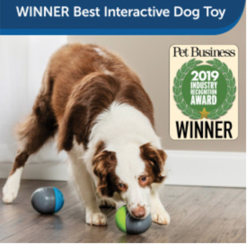 Petsafe® Busy Buddy® Ricochet koiran elektroninen lelu