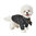 Puppia Orabel dog knitwear grey