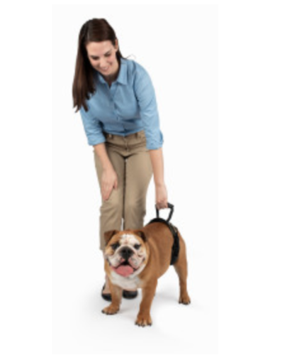 Petsafe® CareLift™ Rear Support Dogharness Medium