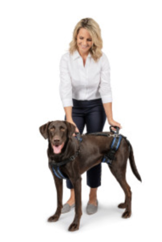 Petsafe® CareLift™ Dog Supportharness Large