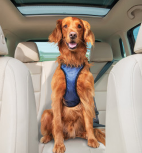 Petsafe® Happy Ride DelucVehicle Safety Dogharness