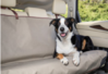 Petsafe® Happy Ride™  Rear Seat Cover/Tan