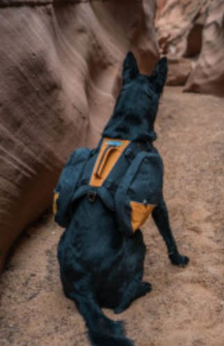 Kurgo Baxter bag dog hiking harness black/orange