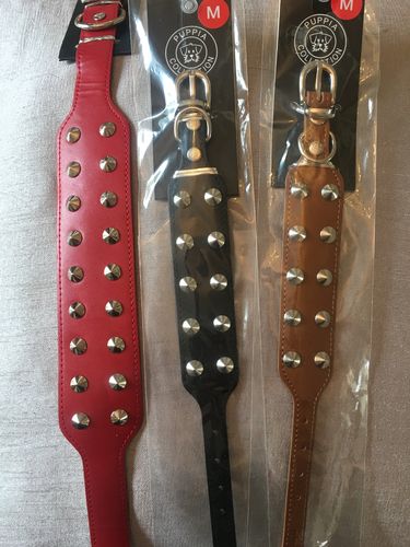Puppia leather collar for dog